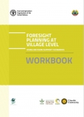 Foresight planning at village level: using decision support scenarios